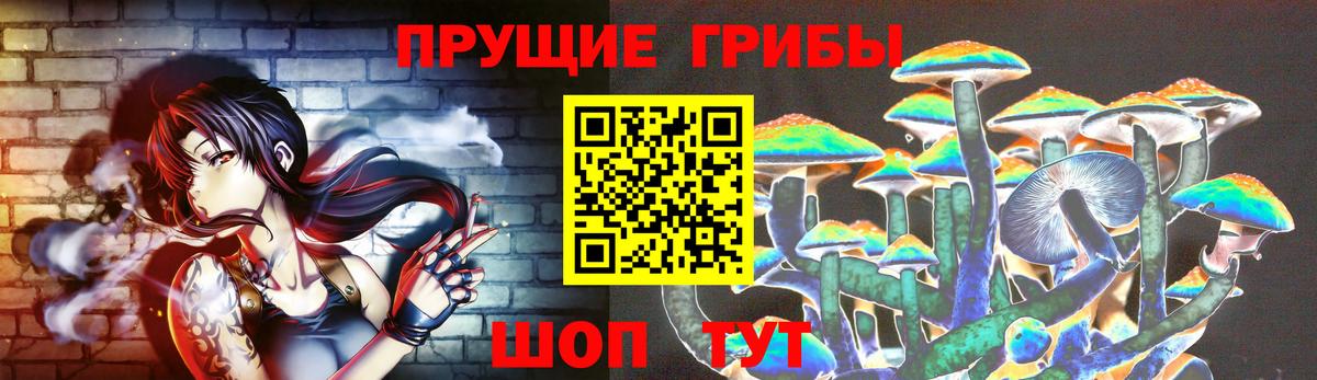 Нальчик  Галлюциногенные грибы Magic Shrooms  Вход с VPN  Галлюциногенные грибы Cubensis 
